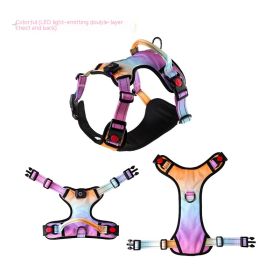 USB Rechargeable Pet LED Luminous Chest Strap (Option: Colorful-XL)